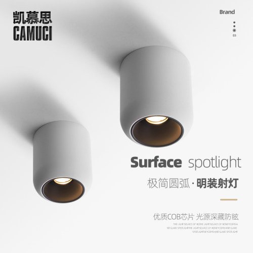 已接入米家智能调光圆形射灯led