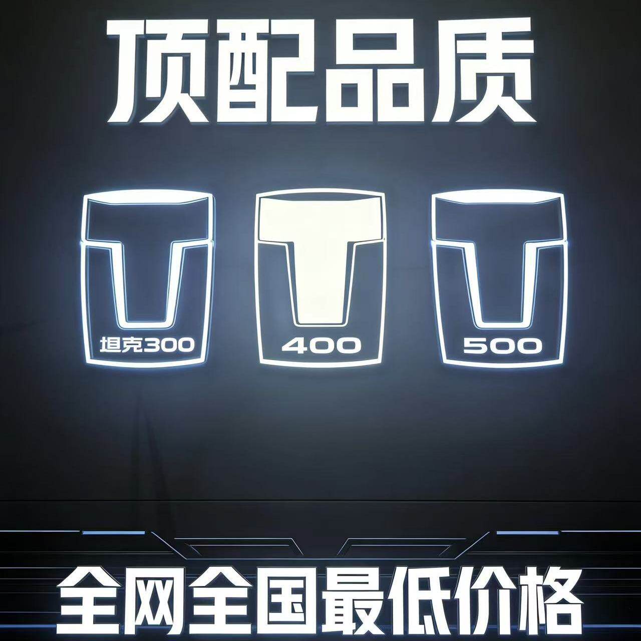坦克300/400/500发光水晶中网灯中网标日间行灯车标改装配件