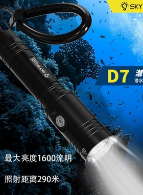 SKYWOODS美国超亮专业潜水手电筒夜潜水陆两用钓鱼灯赶海户外防水