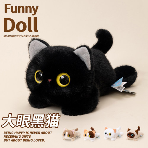 大眼猫咪 原装正版