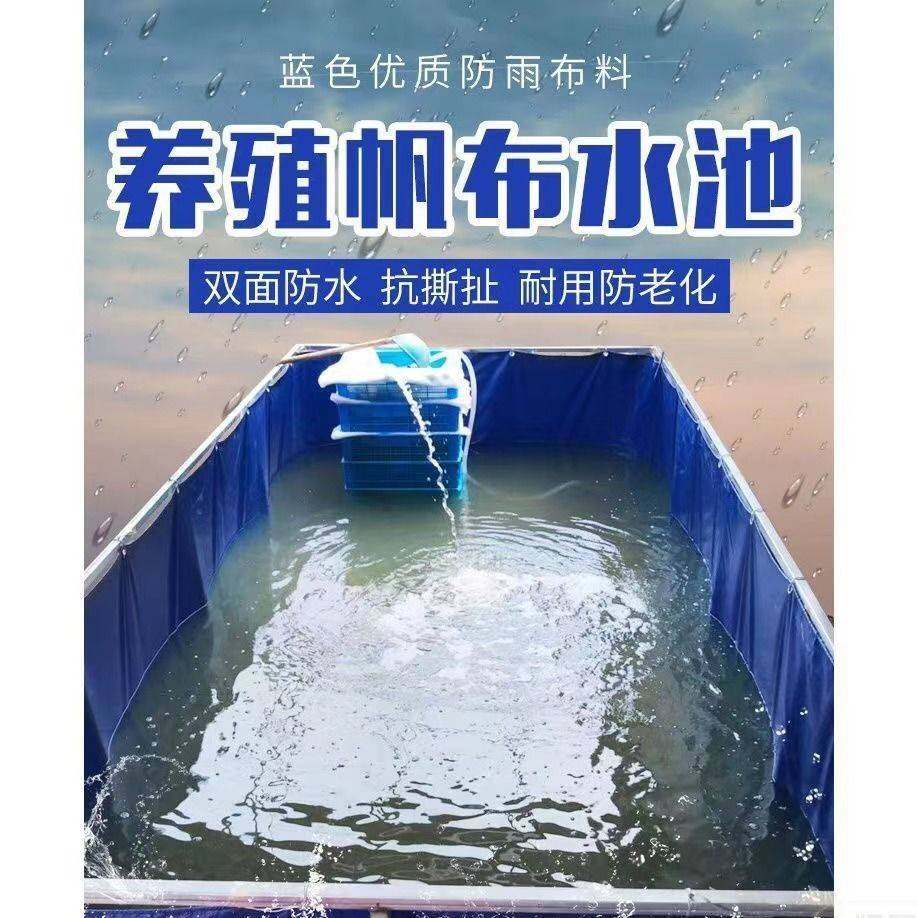 养鱼大型专用箱帆布鱼池水池加厚帆布养殖鱼池防晒防水雨布