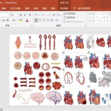 小鼠 实验器材 人体器官 细胞科研绘图素材 PPT AI格式的源文件