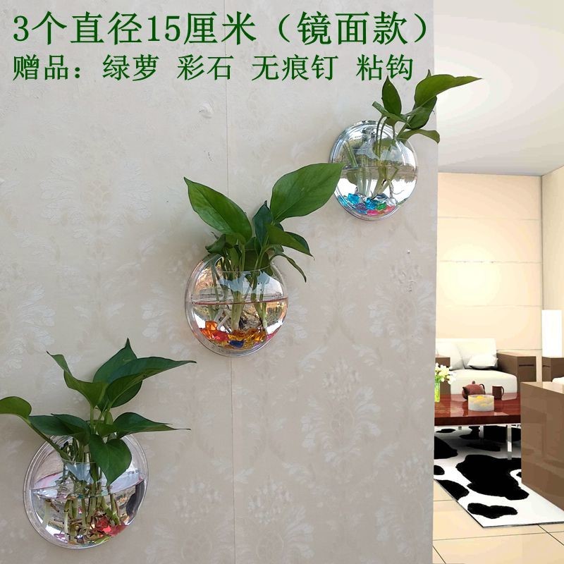 亚克力墙壁水培绿萝花盆瓶餐厅鱼缸墙面装饰品壁挂客厅背景墙花盆