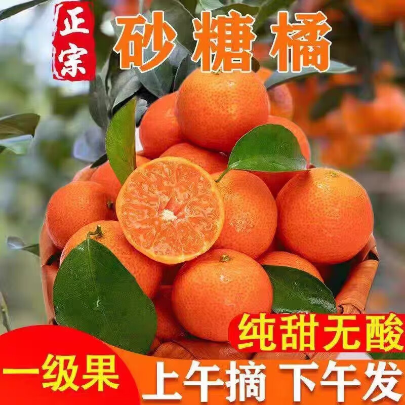 正宗广西砂糖橘新鲜水果当季现摘蜜桔金秋沙糖桔橘子大果整箱包邮