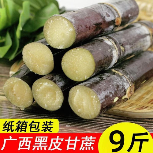 现砍新鲜黑皮甘蔗甜杆蔗紫皮甜甘蔗正宗广西黑皮黄皮甘蔗孕妇水果