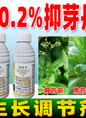贵人道抑芽丹生长调节剂