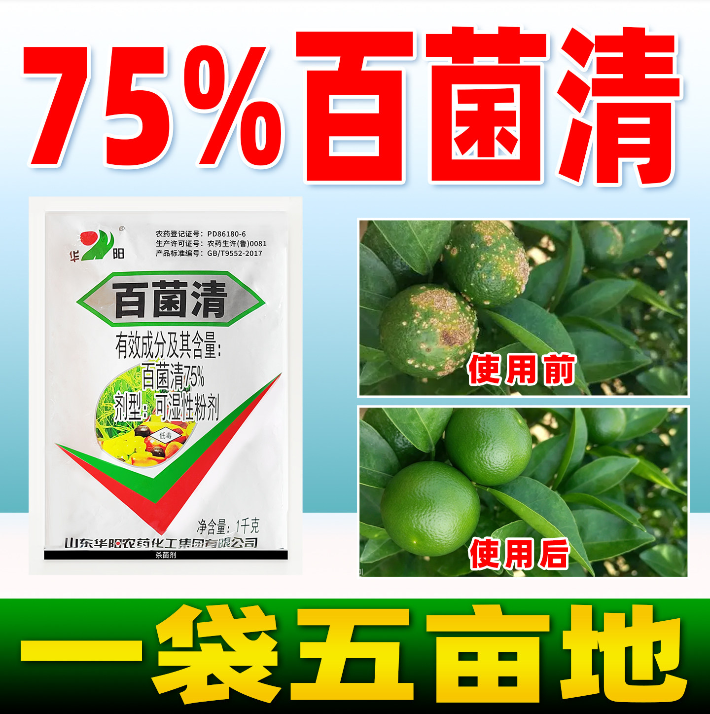 华阳75%百菌清白粉病霜霉病叶斑病杀菌农药梨树水稻白菌清正品