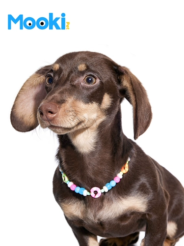 Mookepet Pet Dog Dog Кошка