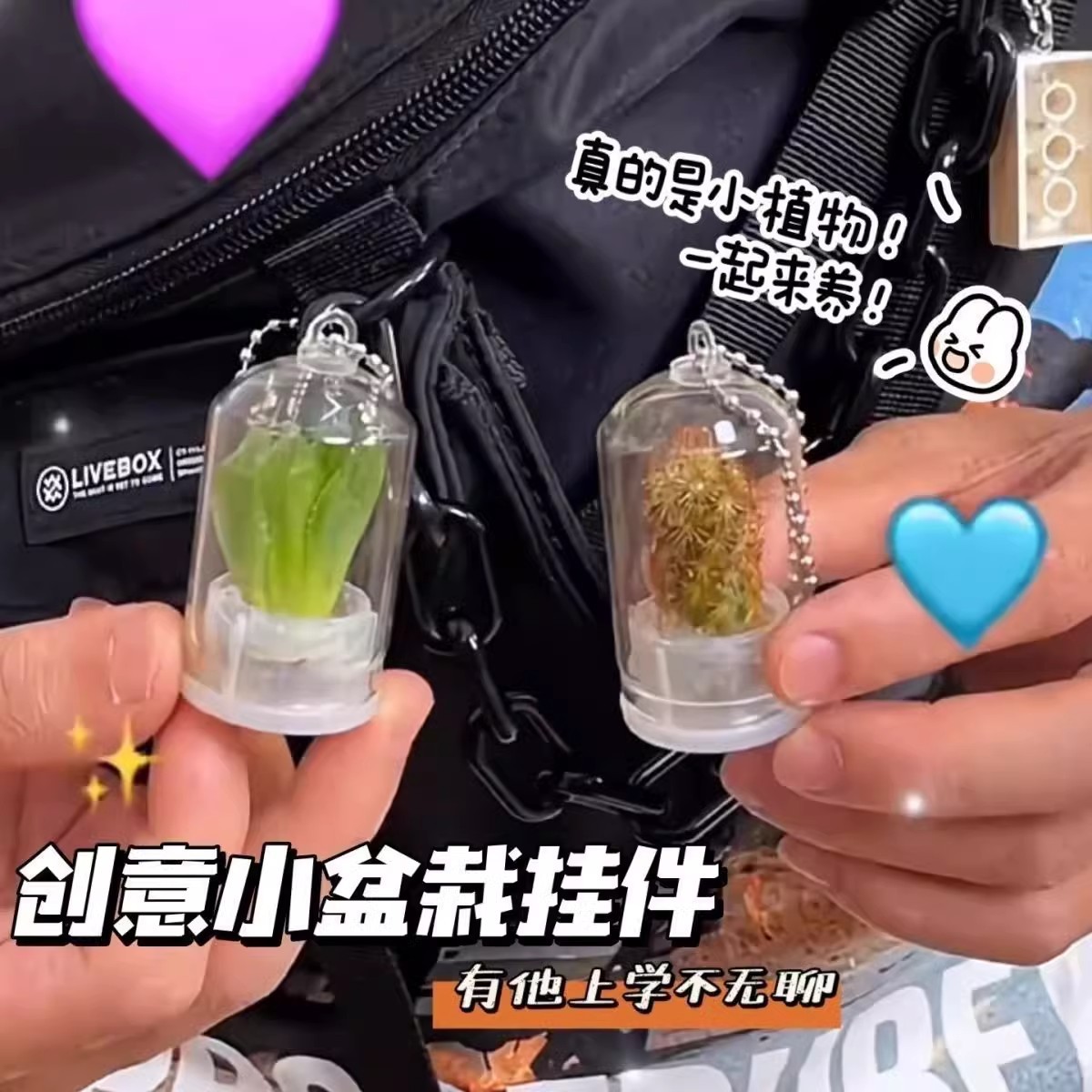 迷你多肉植物挂件可爱小盆栽微缩景观挂件玻璃瓶钥匙扣学生版礼物