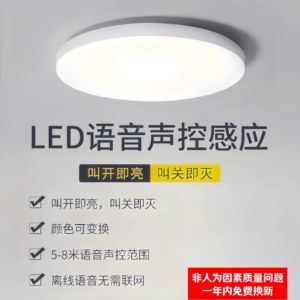 全光谱护眼LED智能语音无需连网声控遥控离线定时三防吸顶灯