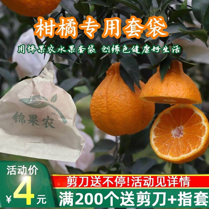 橘子专用袋柑橘套袋耙耙柑红美人爱媛防晒果袋橙子草莓樱桃保护袋