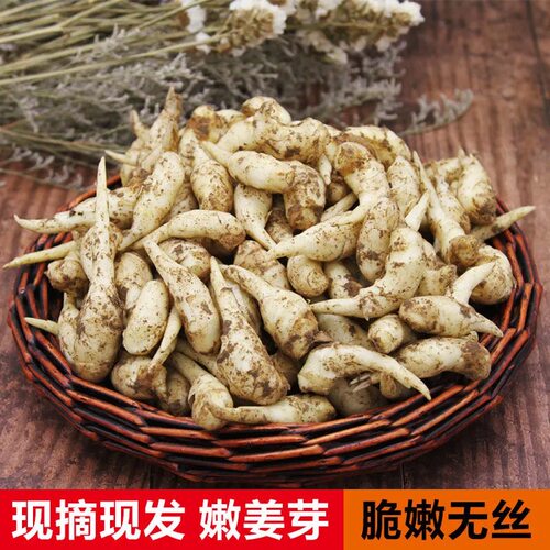 山东泡菜仔姜嫩姜芽新鲜嫩子姜新嫩姜现挖姜芽鲜姜