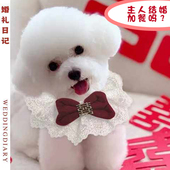 猫咪领结狗狗结婚装 饰宠物喜庆围脖婚礼陪嫁衣服蝴蝶结猫脖圈饰品