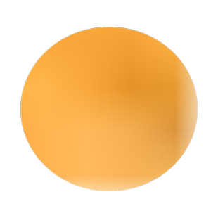 丑橘苗丑桔树苗不知火柑橘春见丑八怪粑粑柑树苗椪柑苗橘子苗包邮