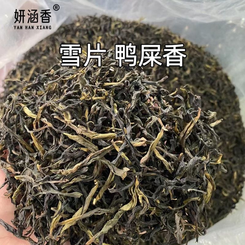 春茶鴨屎香單叢茶鳳凰單叢茶500g