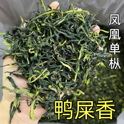 凤凰单丛春茶抽湿鸭屎香清香型