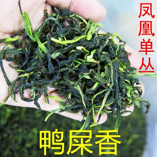 抽湿鸭屎香凤凰单丛茶妍涵香清香
