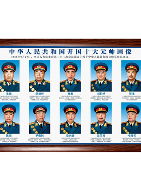 十大元帅实木书房办公会议室壁画