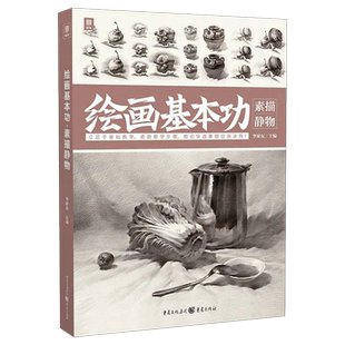 绘画基本功素描静物 2022敲门砖李家友素描基础素描静物自学教材临摹范本步骤解析考级高考联考教程书籍