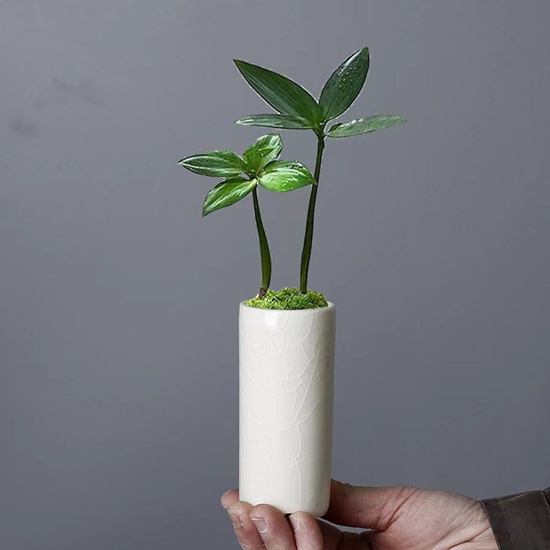 小直筒冰裂釉迷你花盆多肉绿植竹柏酒店花器创意陶瓷桌面盆栽有孔