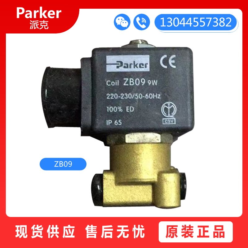 수입 PARKER PARKER 121Z2323 ZB09 ZH14 RIELLO BAIDE 버너 솔레노이드 밸브