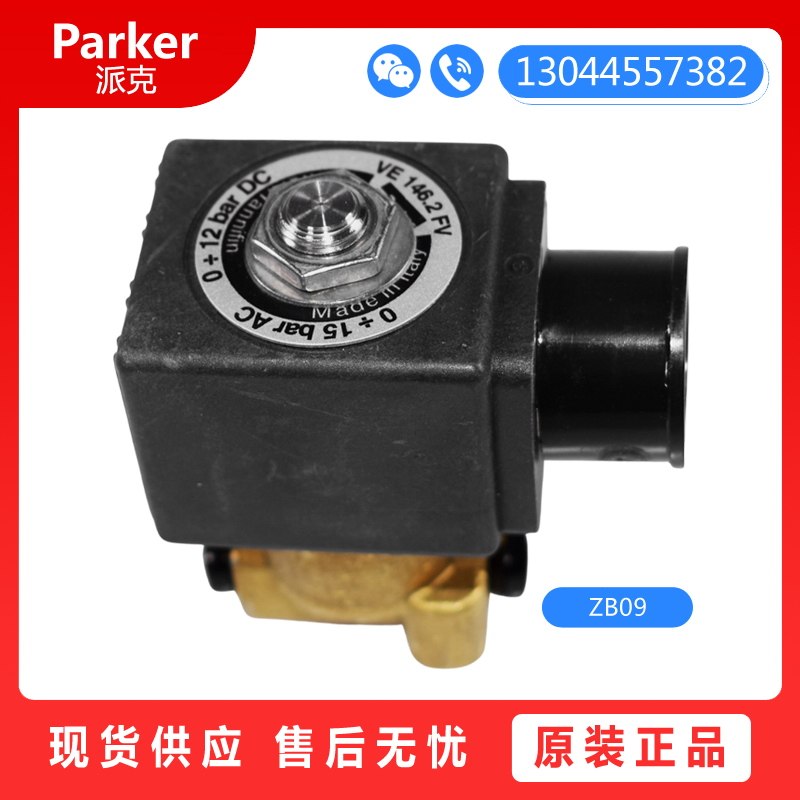 수입 PARKER PARKER 121Z2323 ZB09 ZH14 RIELLO BAIDE 버너 솔레노이드 밸브