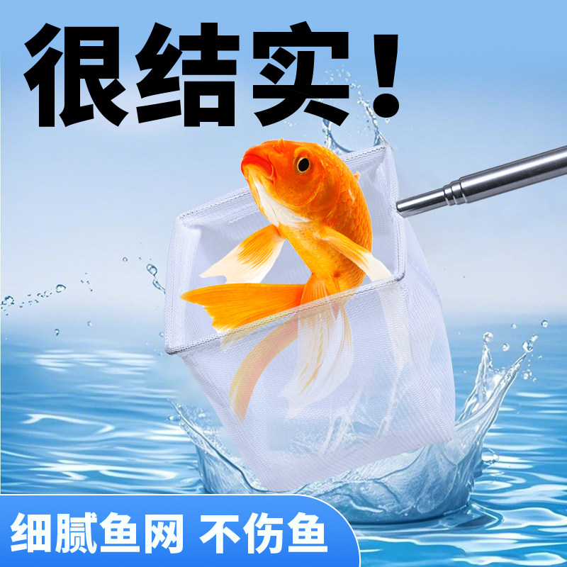 鱼捞渔网捞小鱼专用小号3D抄网兜密网手抄鱼网热带观赏鱼水晶虾捞