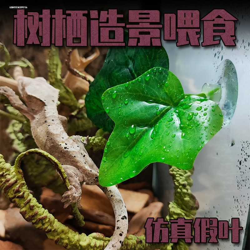 仿真植物爬宠饲养箱黄缘龟缸专用生态缸雨林造景躲避装饰绿植