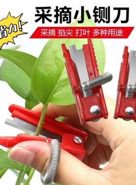 采摘神器手指刀打尖小铡刀摘茶打查去叶拇指刀黄瓜掐须刀具打叶子