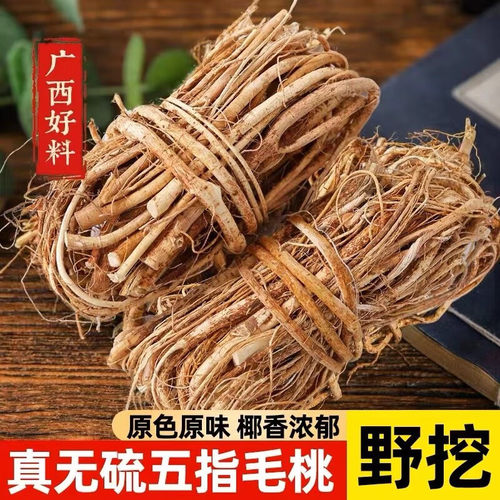 野生五指毛桃新鲜牛奶根煲汤料