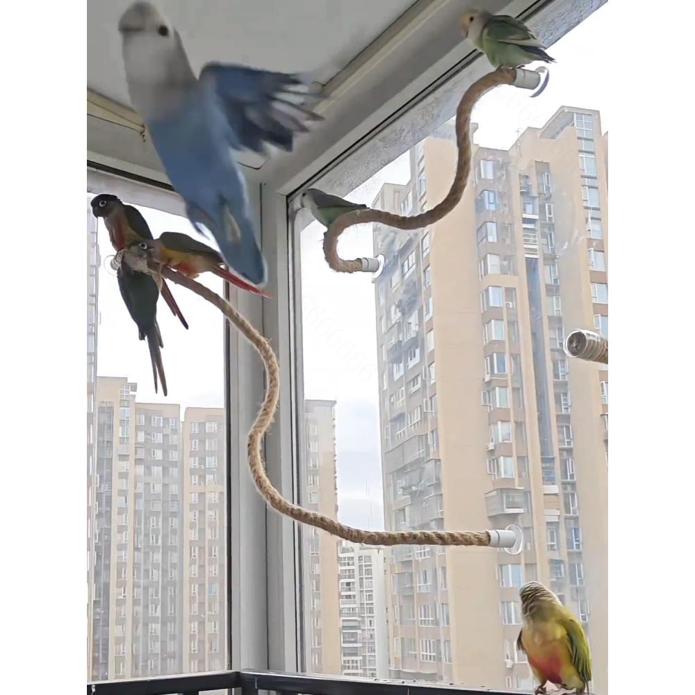 鹦鹉玄凤吸盘旋转站杆麻绳玩具攀爬秋千虎皮吊环牡丹杠棍架子笼子