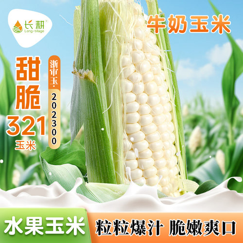 甜脆321白水果玉米种子高产玉米种籽超甜苞米春秋四季播玉米种孑