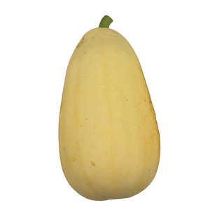 黄皮大笋瓜种子南瓜白玉瓜角瓜种籽高产春夏秋季四季吊瓜蔬菜种孑