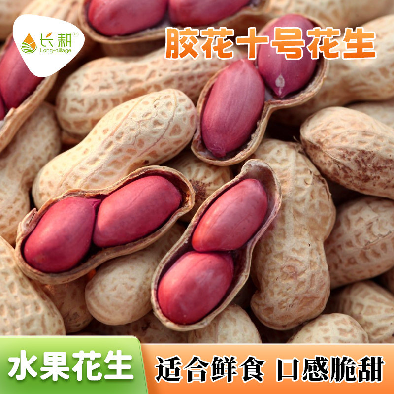 水果花生种子高产鲜食落花生种籽春夏秋四季零食地豆白沙蔬菜种孑