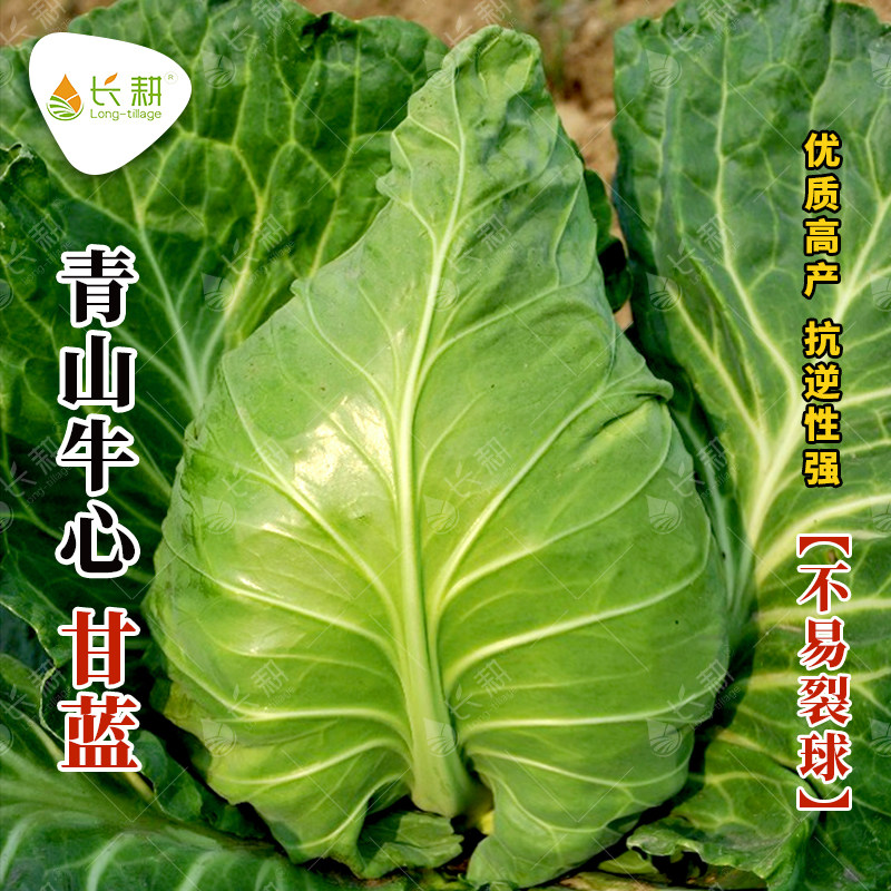 ţ�ĸ������Ӵ����ļ��������ݸ߲����Ĳ��ӽ��ͺ������߲��Ѵ�ȫ 5.07Ԫ