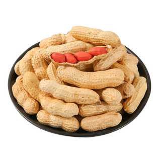 开农黑花生种子春夏四季富硒花生种孑山东农家大田黑皮花生籽庭院