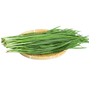 小细叶韭菜种子山东独根红韭菜根春秋四季阳台宽叶雪韭盆栽蔬菜孑