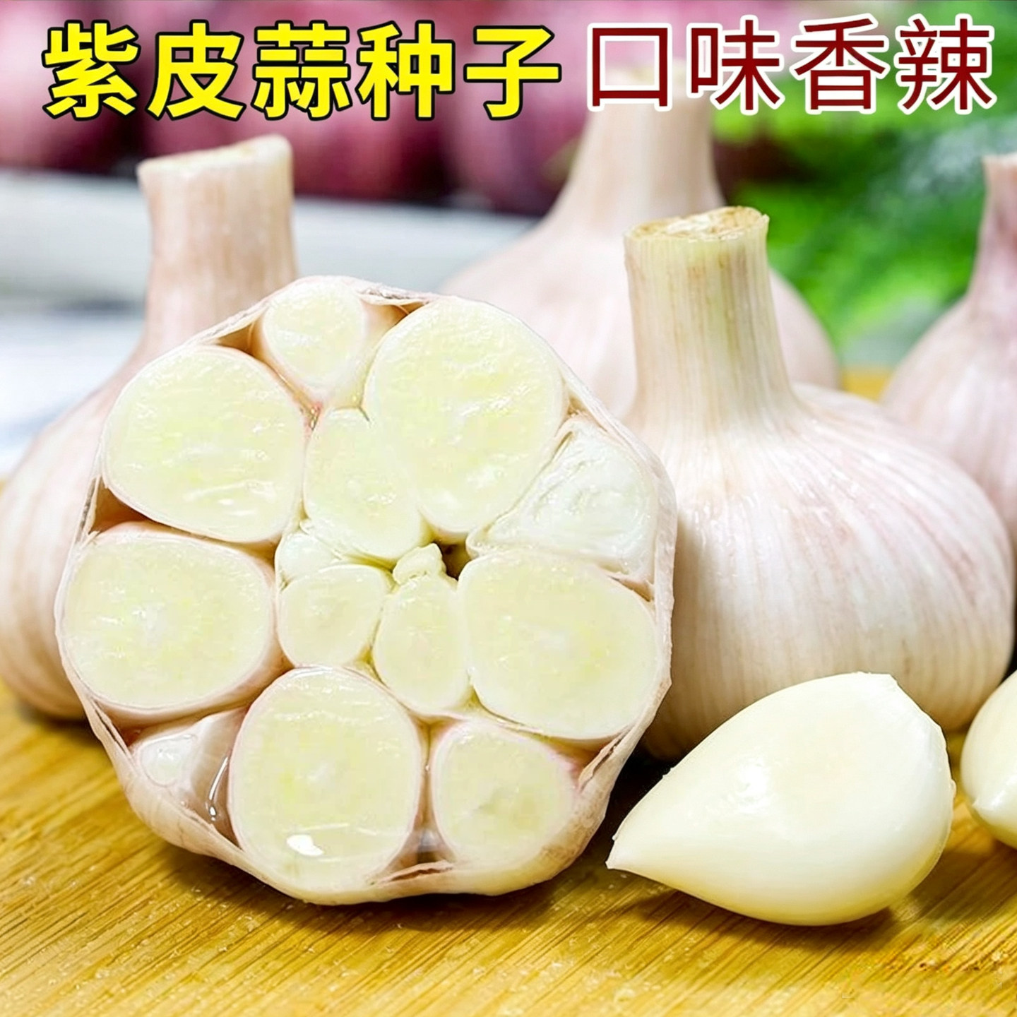 山东紫皮大蒜金乡当季干蒜种子生食栽种皆可半斤/5斤/10斤新鲜蒜