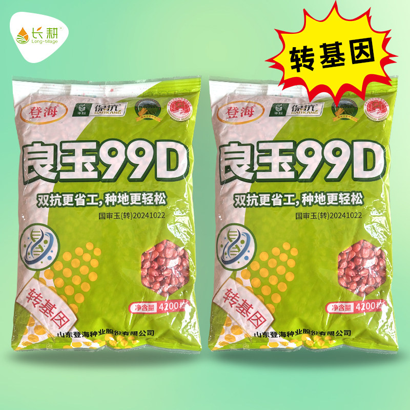 登海良玉99D转基因玉米种子大棒高产饲料玉米种籽春秋四季山东孑