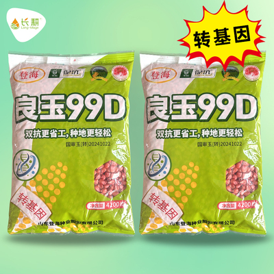 登海良玉99D转基因玉米种子大棒高产饲料玉米种籽春秋四季山东孑
