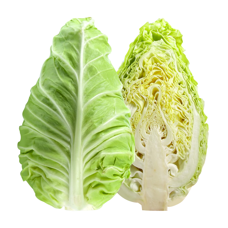 牛心甘蓝种子春秋四季包菜种孑高产卷心菜杂交耐寒甘兰蔬菜籽大全