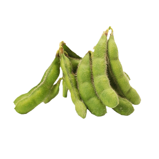 毛豆种子特大黄豆种籽早熟高产青豆大豆大全春季四季播蔬菜种孑