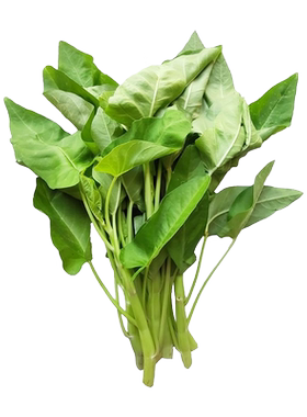 耐热大叶白杆空心菜种子春秋四季白骨通心菜种籽三叉雍菜蔬菜种孑