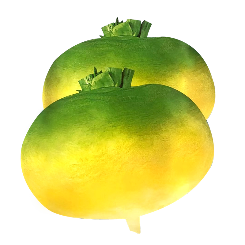 黄肉布留克种子蔓菁甘蓝卜留克种籽夏秋阳台盆栽杨大头菜蔬菜种孑