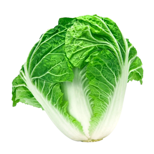 包心大白菜种子早熟郑研小包白菜种孑夏秋冬四季高产农家蔬菜种籽