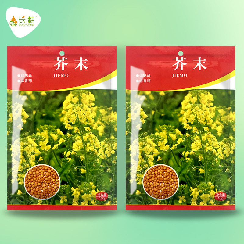 芥末种子黄芥末种籽孑春秋四季阳台盆栽多年生老调味芥茉蔬菜种孑