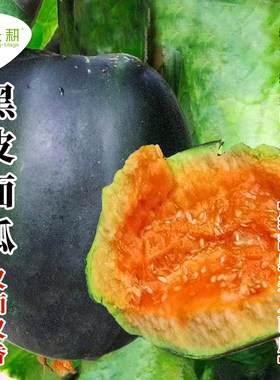 面瓜种籽老品种黑皮红瓤甜瓜