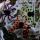 stuffed decoration flower Halloween spider party props 蜘蛛