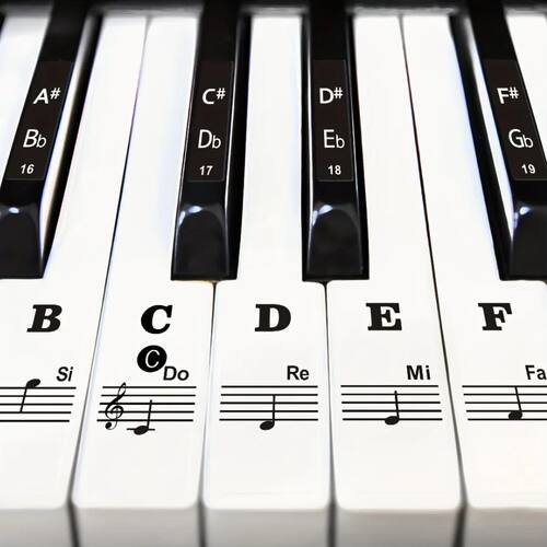Large Bold Piano Key Sticker for Beginners - Removable lette