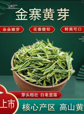 安徽金寨黄芽2026新茶高山茶叶安徽绿茶金寨特产炭火烘焙浓香耐泡